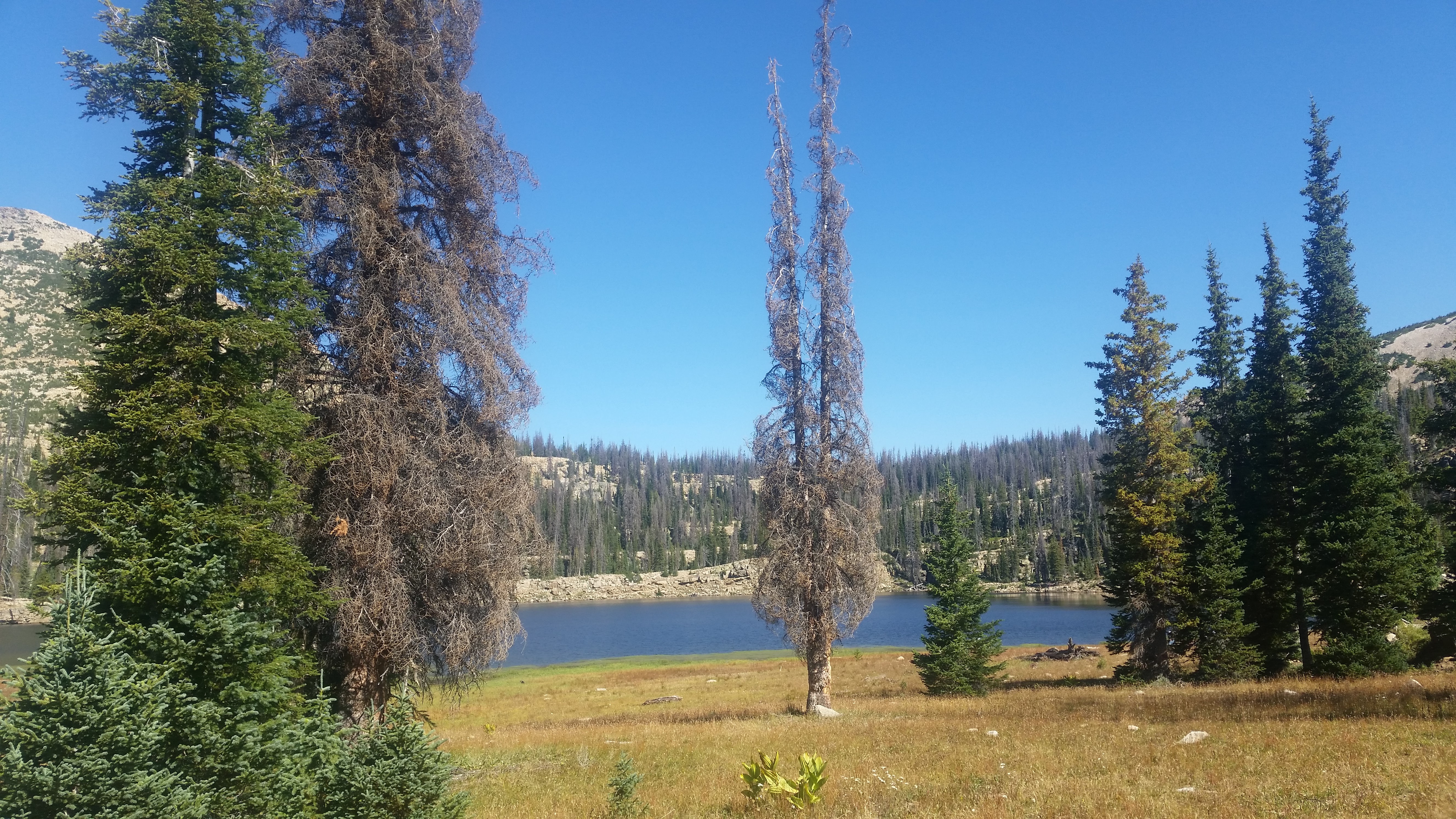 Snowbird – Utah · 2016